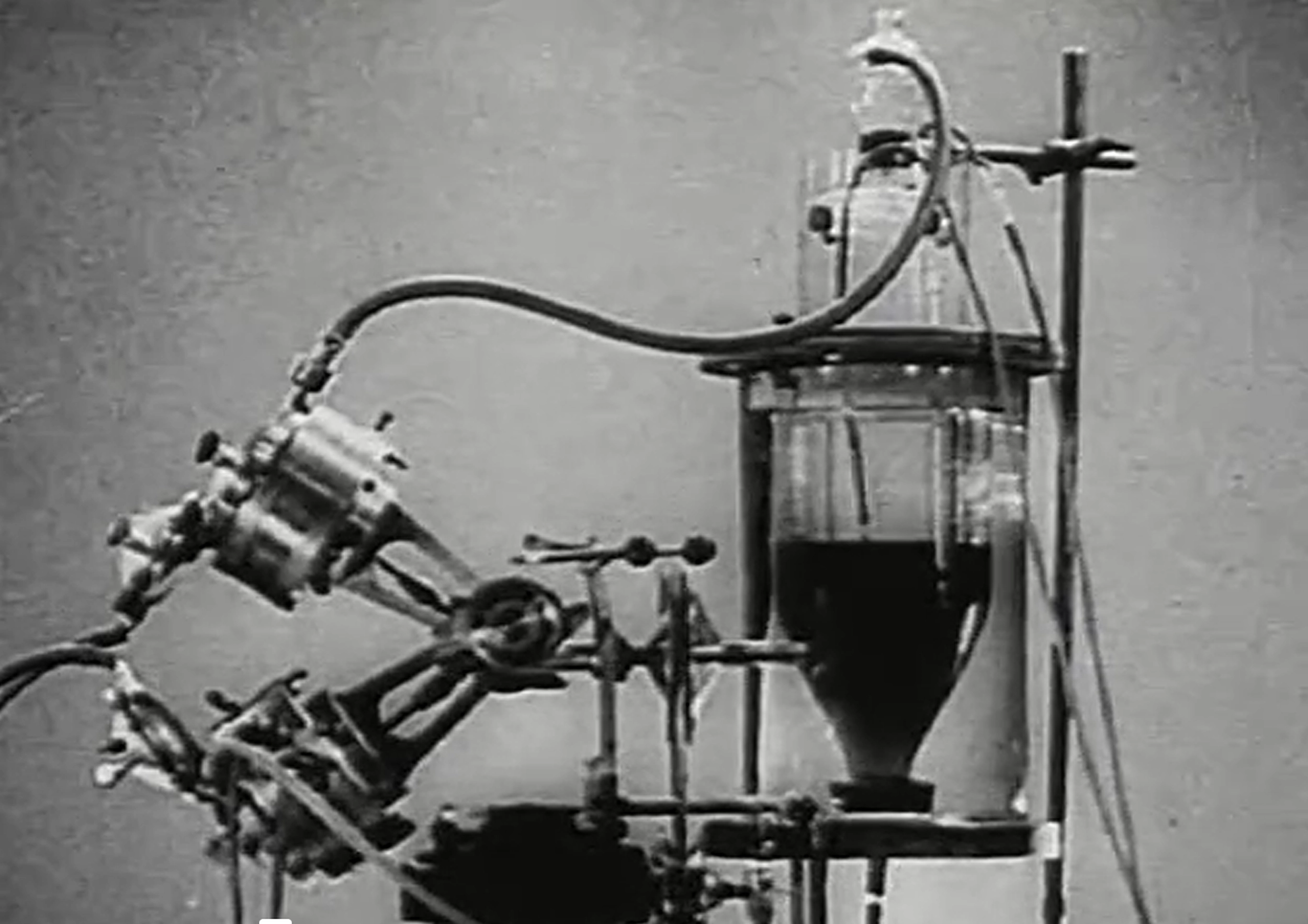 Dr. Sergei S. Bryukhonenko