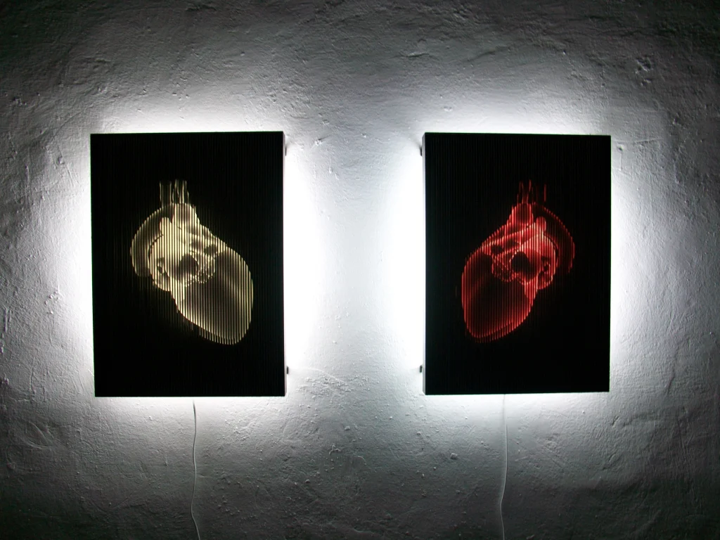 Dual Cineticograficas