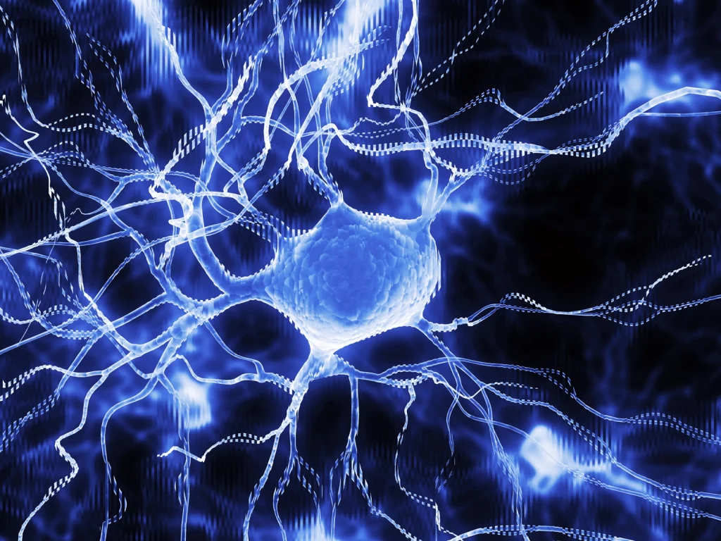 New Core Cineticograficas - OPN Studio