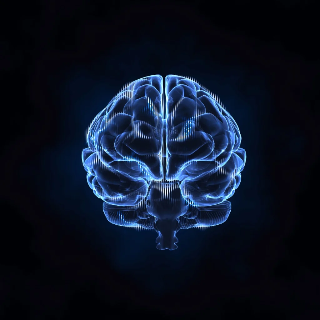 New Core Cineticograficas - OPN Studio